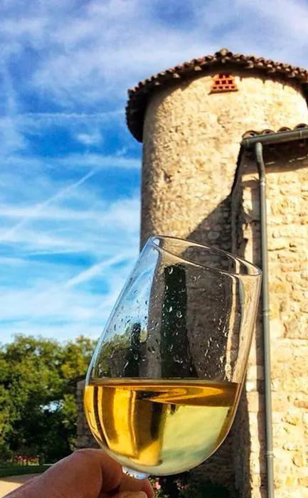 Photo d'un verre de vin blanc devant la façade du château de Salettes