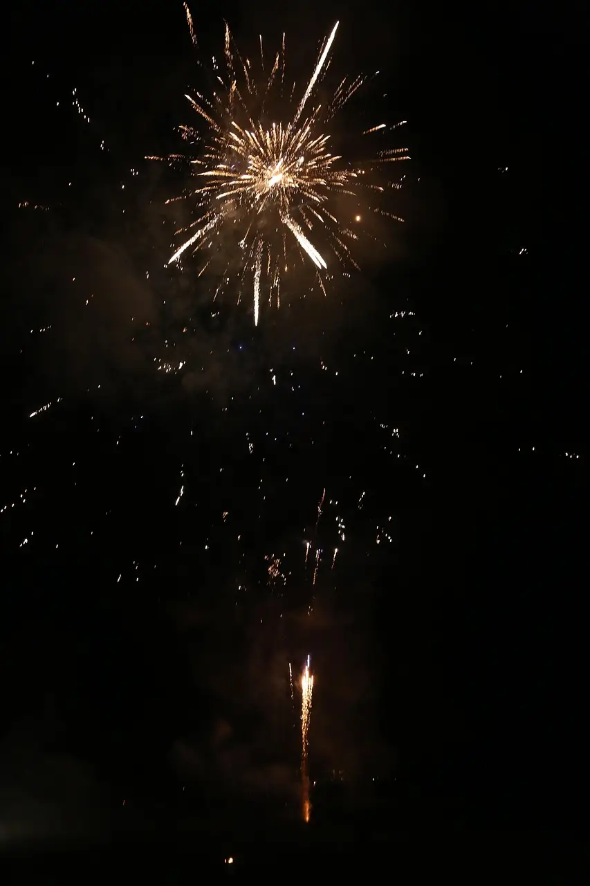 fete des mères fille offre fleurs et dessin a sa maman